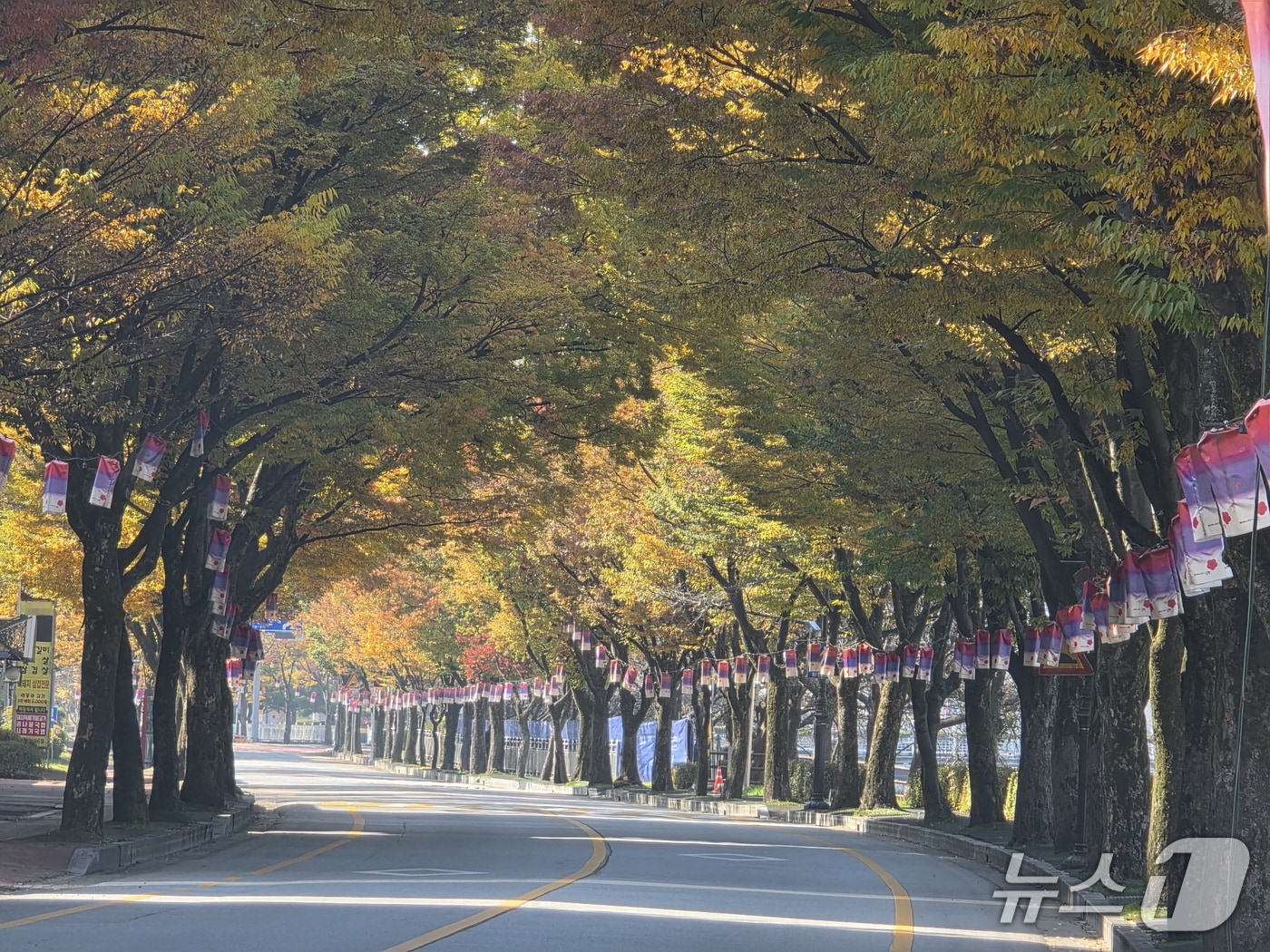 전북 남원시가 오는 2029년까지 '도시 바람길숲 조성사업'을 추진한다.(남원시 제공. 재판매 및 DB금지)/뉴스1