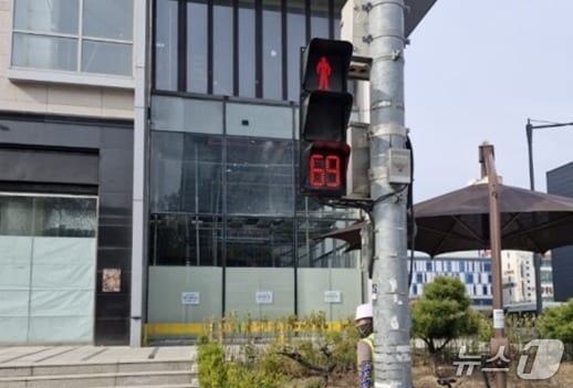 강원 원주시의 보행신호 적색잔여시간 표시기 자료 사진. (원주시 제공. 재판매 및 DB금지) 2025.11.7/뉴스1