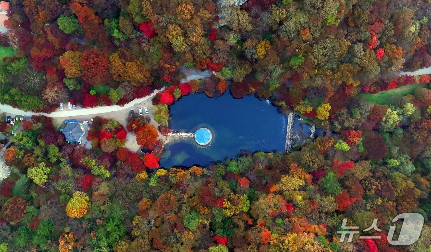 하늘에서 바라본 전북 정읍 내장산. 가을 단풍으로 붉게 물들고 있다.(정읍시 제공. 재판매 및 DB금지)/뉴스1