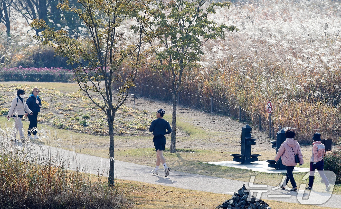 산책하는 시민들.(뉴스1 DB)