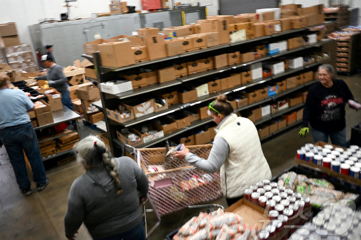 31일(현지시간) 미국 연방정부의 셧다운(일시 업무 정지) 사태가 수주째 계속되는 가운데 콜로라도주 커머스시티의 긴급 식품은행에서 자원봉사자들이 식료품 카트를 준비하고 있다. 2025. 10. 31. ⓒ 로이터=뉴스1 ⓒ News1 양은하 기자