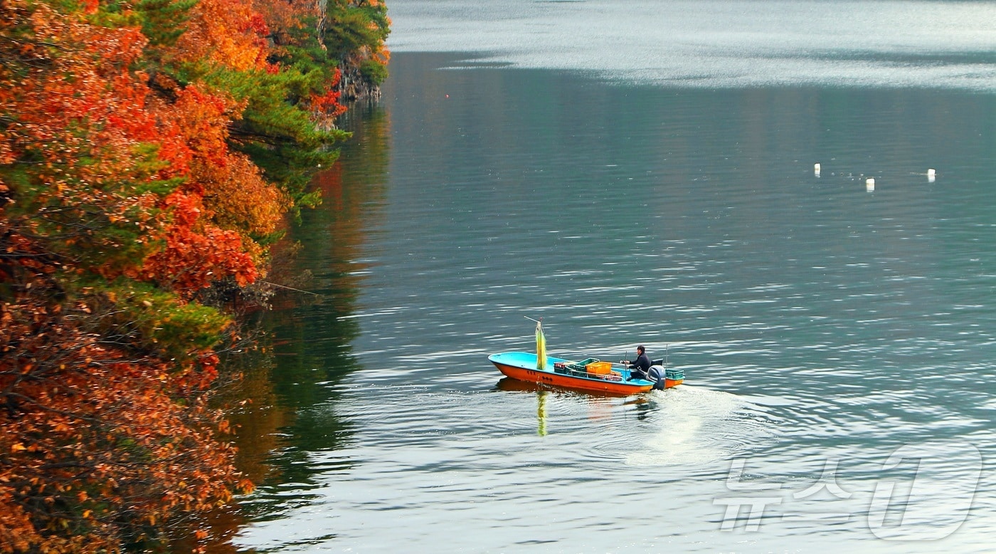 지난 9일 오전 강원 인제군 소양호 일대에서 한 어부가 늦가을 단풍 사이로 조업을 하고 있다.(인제군 제공. 재판매 및 DB금지) 2025.11.9/뉴스1