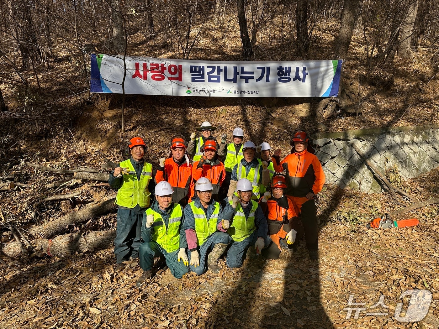 울산 울주군이 숲가꾸기 사업 후 발생한 부산물을 활용해 사업지 주변 지역 취약계층에게 목재를 지원했다고 1일 밝혔다.&#40;울주군 제공&#41;