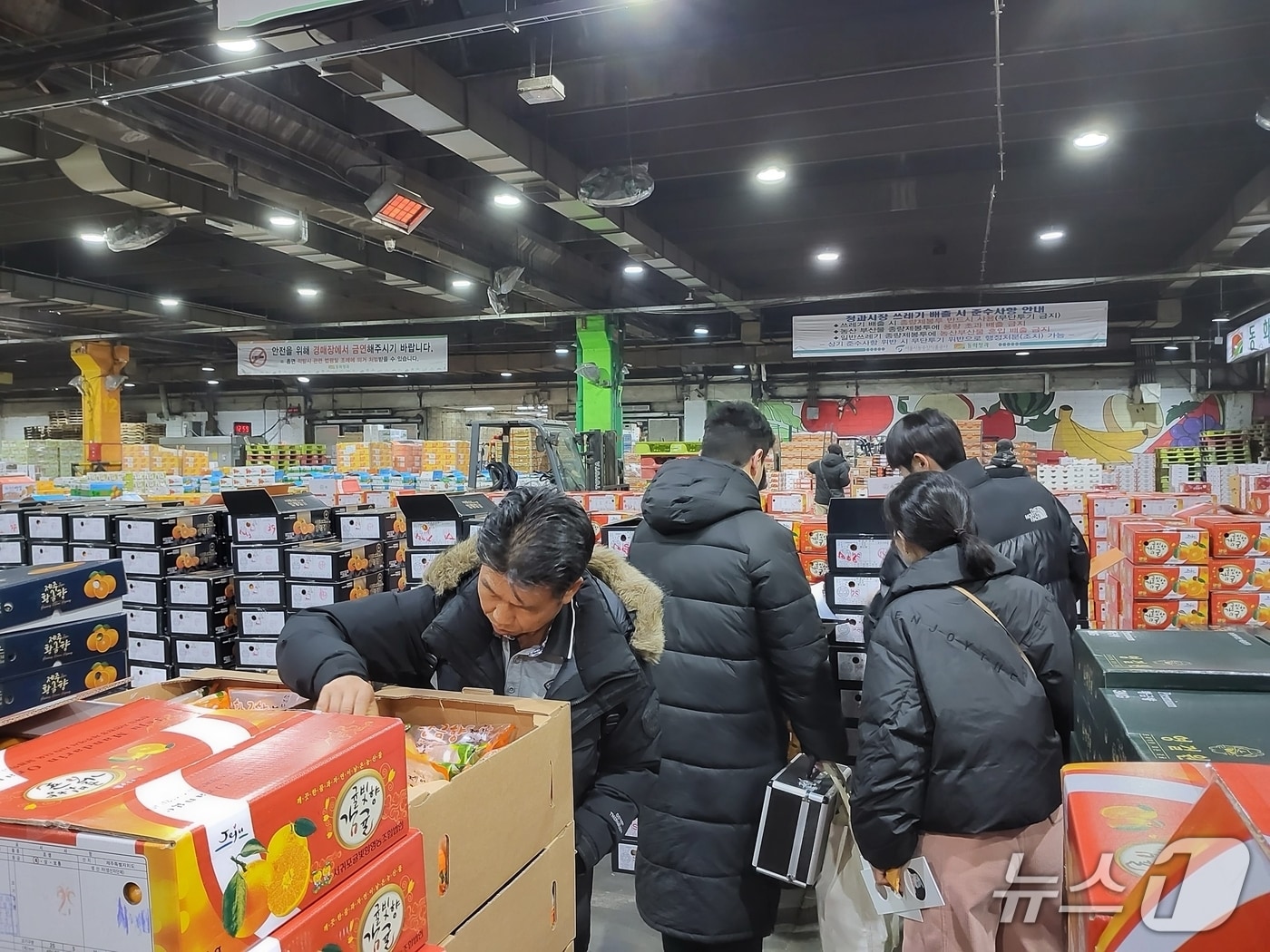 상품외감귤 유통 단속 모습(서귀포시 제공. 재판매 및 DB금지)/뉴스1