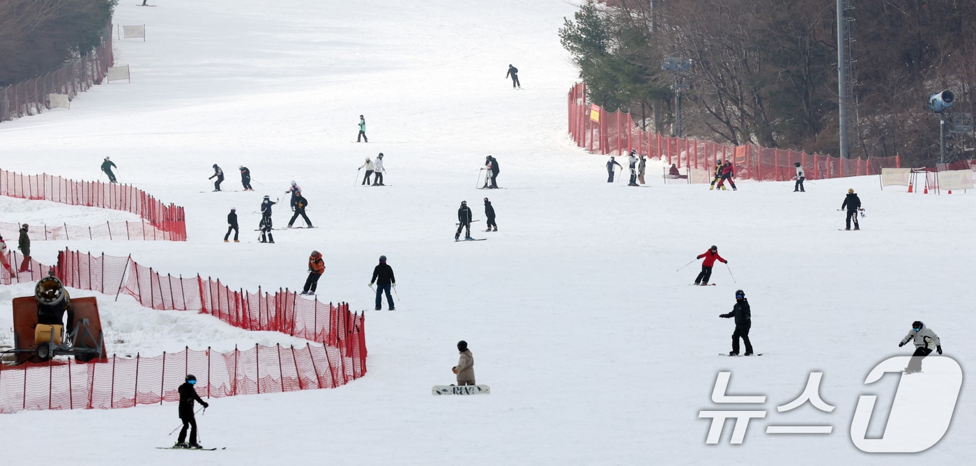  시민들이 시민들이 스키와 보드를 타며 겨울을 만끽하고 있다. (자료사진)/뉴스1 DB