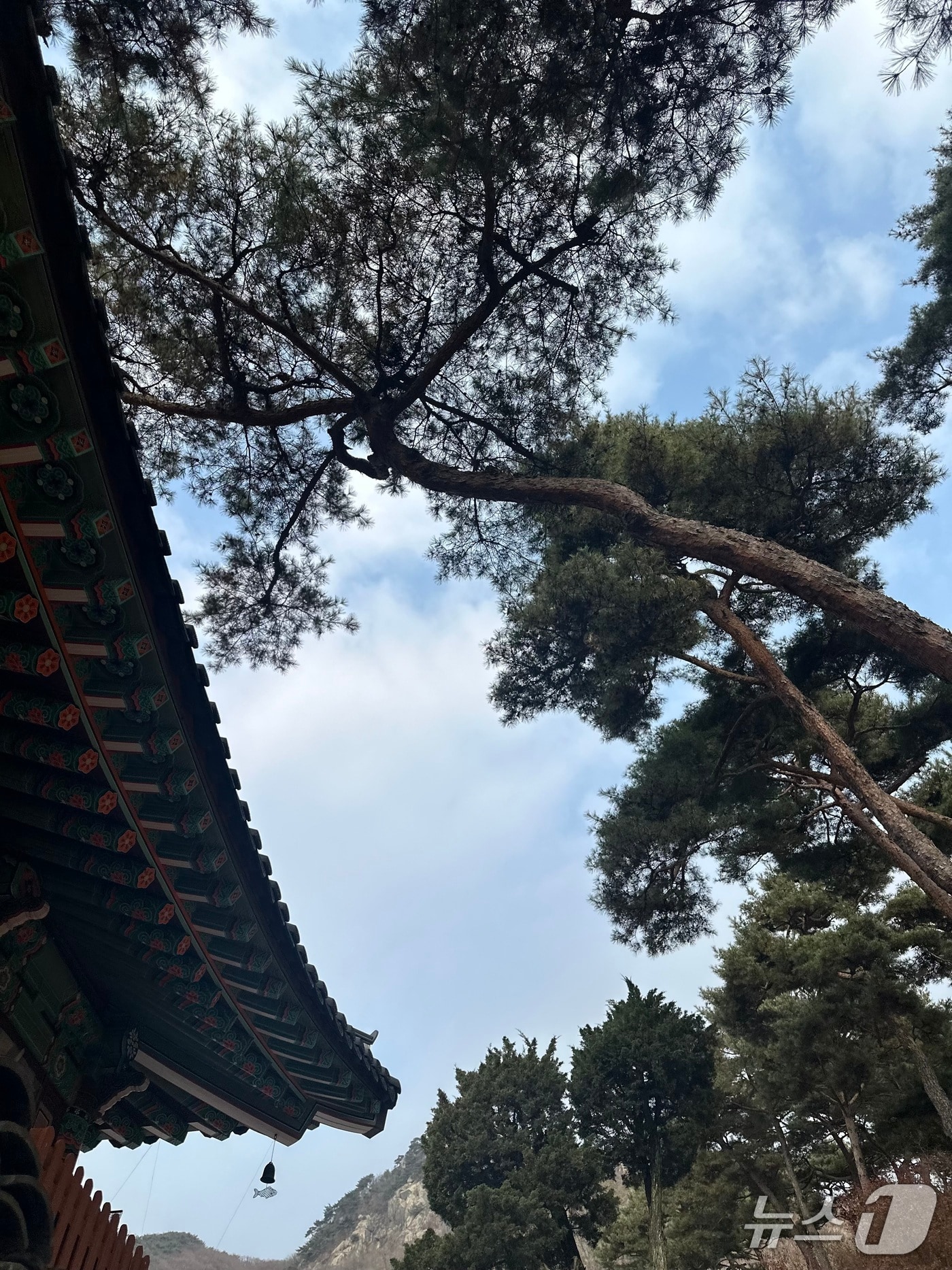 10일 경기 양주 회암사 경내에서 본 풍경. 2025.12.10/뉴스1 ⓒ News1 이상휼 기자