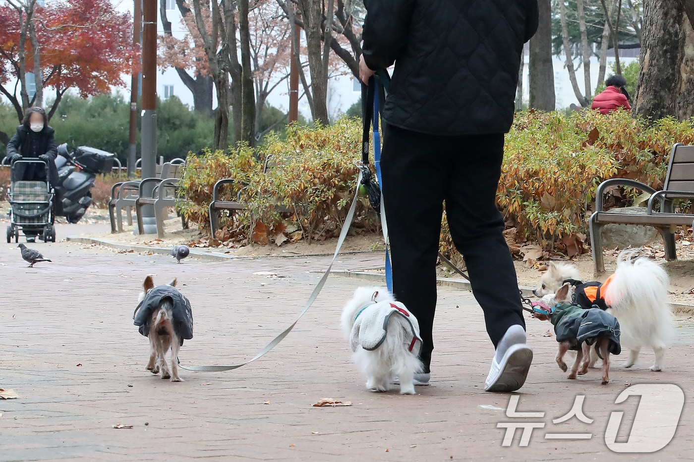 &lt;자료사진&gt; 2025.12.11/뉴스1 ⓒ News1 공정식 기자