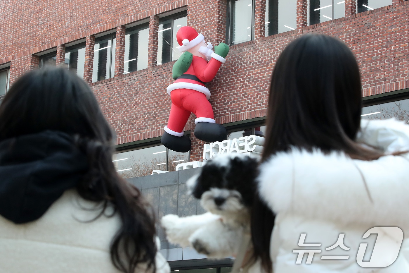 11일 오후 대구 영진전문대 도서관 벽에 걸린 산타 인형이 도서관을 찾은 학생들의 걸음을 멈춰세웠다. 2025.12.11/뉴스1 ⓒ News1 공정식 기자