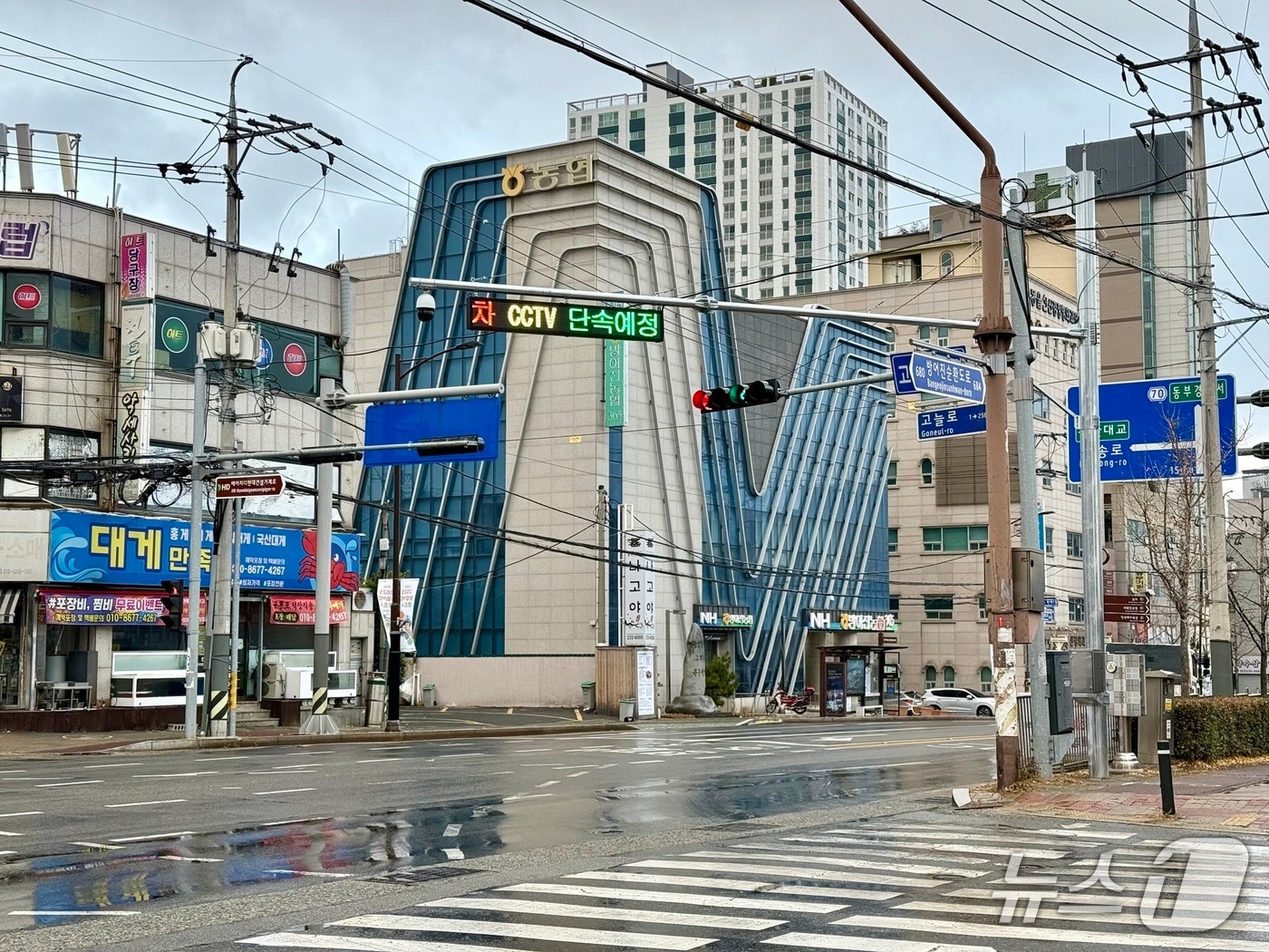 울산 동구는 고늘사거리 일대에 고정형 불법주정차 단속 CCTV를 신규 설치했다.(울산 동구 제공. 재판매 및 DB금지)/뉴스1