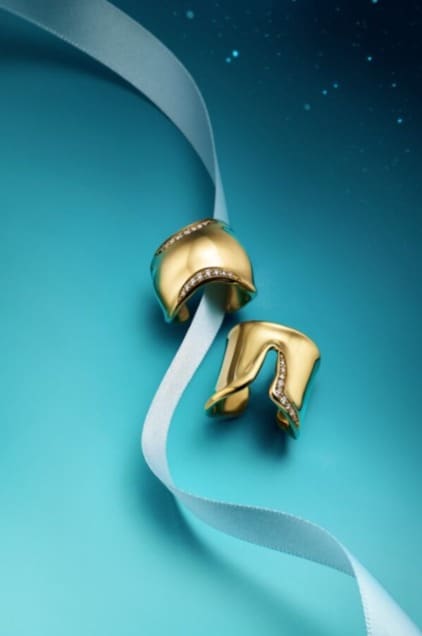 티파니앤코&#40;Tiffany & Co.&#41;의 본&#40;Bone&#41; 링&#40;상단&#41;과 스플릿&#40;Split&#41; 링&#40;하단&#41; /  사진=티파니앤코&#40;Tiffany & Co.&#41; 제공