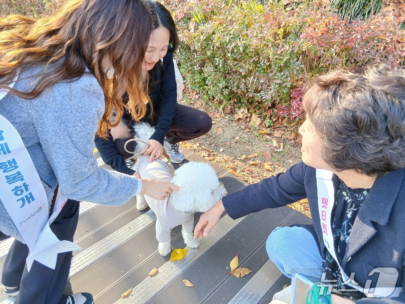  &#40;서울 서초구 제공&#41; 