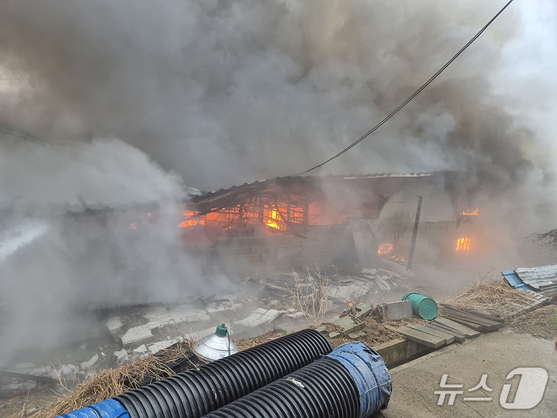 당진 순성면 돈사 화재 현장. (당진소방서 제공, 재판매 및 DB금지) / 뉴스1