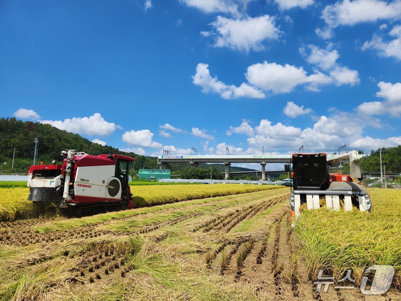 대구 달성군은 기본형 공익직접지불금 지급 대상 6387농가를 확정하고 69억 원을 순차적으로 지급한다. (대구 달성군 제공. 재판매 및 DB금지)
