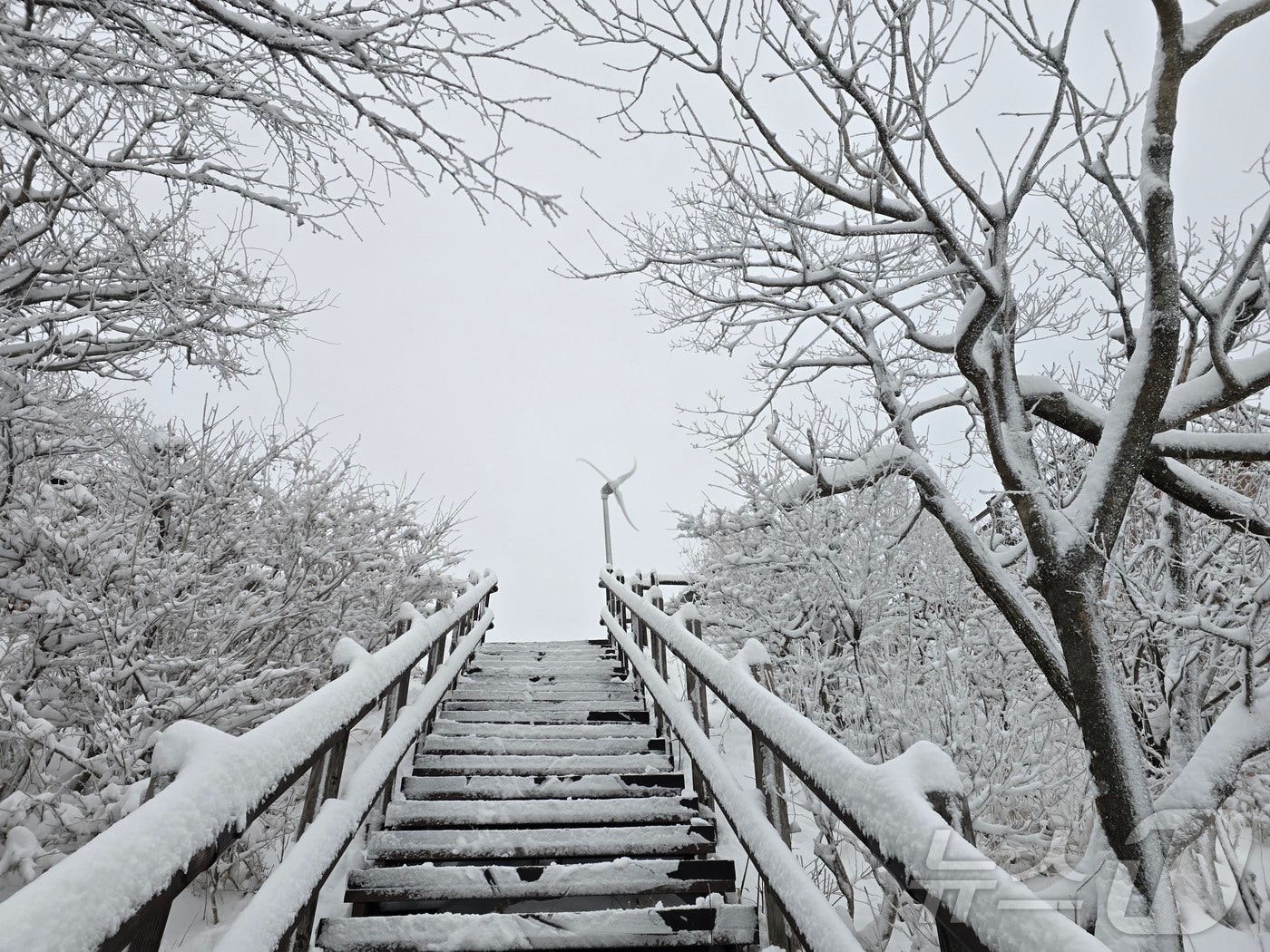 전북 무주군 덕유산 설경.(덕유산공원사무소 제공. 재판매 및 DB금지) 2025.12.14/뉴스1 ⓒ News1 장수인 기자