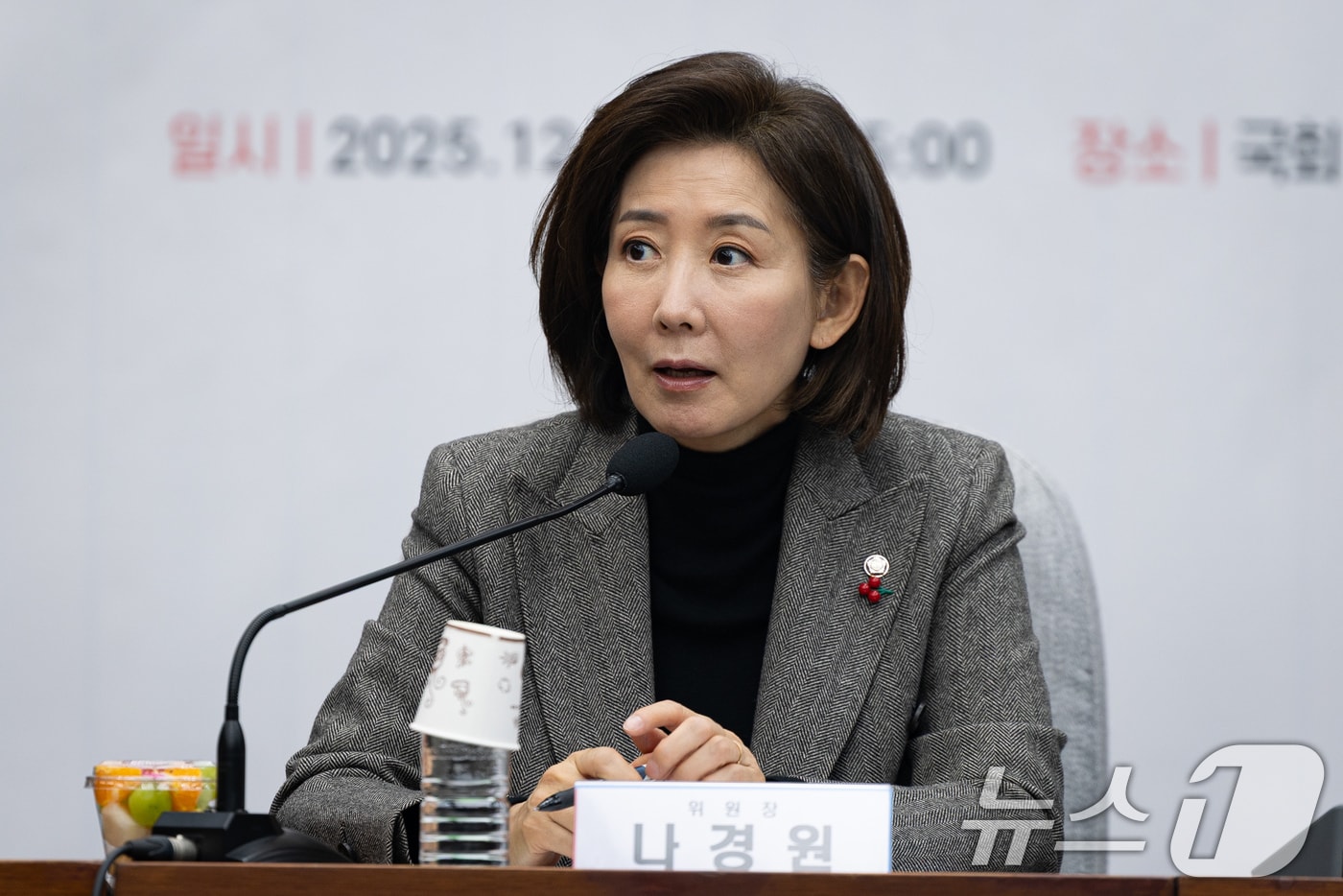 나경원 국민의힘 지방선거 총괄기획단 위원장이 지난 15일 서울 여의도 국회에서 열린 지방선거총괄기획단-전국청년지방의원협의회 연석회의에서 모두 발언을 하고 있는 모습. 2025.12.15/뉴스1 ⓒ News1 유승관 기자
