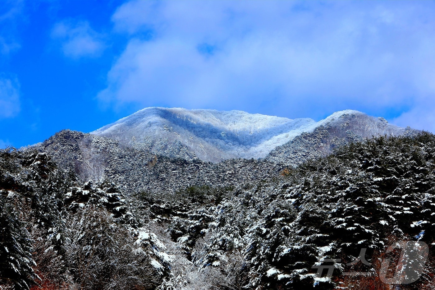 16일 강원 인제군 기린면 점봉산 자락에 최근 내린 눈이 쌓여 은빛 설경을 자아내고 있다.(인제군 제공. 재판매 및 DB금지) 2025.12.16/뉴스1 ⓒ News1 이종재 기자