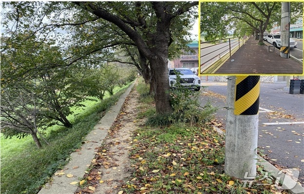 울산 중구 구루미길.(박성민 의원실 제공. 재판매 및 DB금지)/뉴스1