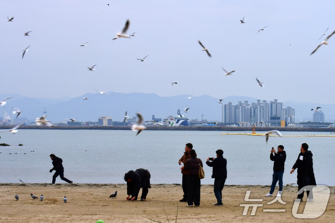 16일 오후 경북 포항시 북구 영일대해수욕장에서 관광객들이 갈매기에게 과자를 던져주고 있다. 2025.12.16/뉴스1 ⓒ News1 최창호 기자