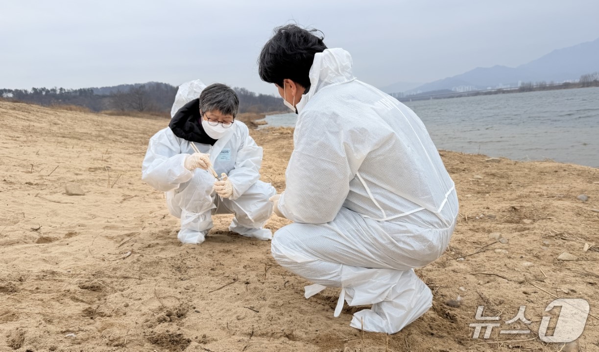 조류인플루엔자 선제 대응에 나선 대구환경청이 겨울철 주요 철새 도래지인 지산샛강과 해평습지에서 철새 현황을 파악하고 야생조류 분변을 채집했다.(대구환경청 제공. 재판매 및 DB 금지) 2025.12.16/뉴스1