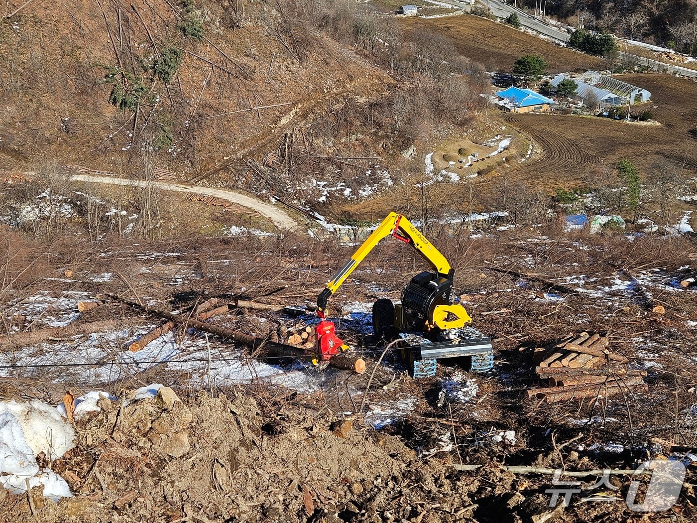 고성능 입엄기계인 하이랜더를 활용한 목재 조재.(동부산림청 제공, 재판매 및 DB 금지) 2025.12.17/뉴스1