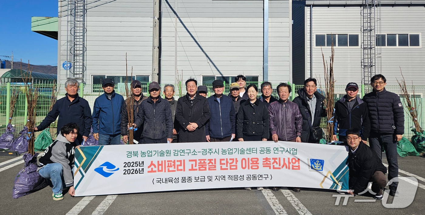 경주시가 국산 단감 신품종 재배 확대에 나섰다. (경주시농업기술센터 제공, 재판매 및 DB금지) 2025.12.17/뉴스1 