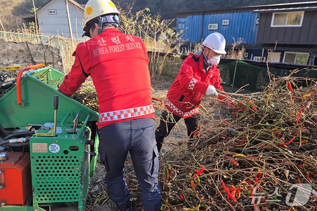 영농부산물파쇄 전경.(동부산림청 제공, 재판매 및 DB 금지) 2025.12.17/뉴스1