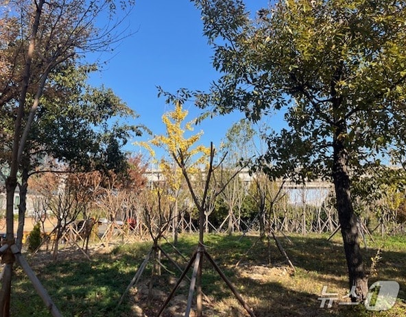 울산 신일반산단 내에 조성된 도시숲. (울산시 제공. 재판매 및 DB 금지) /뉴스1