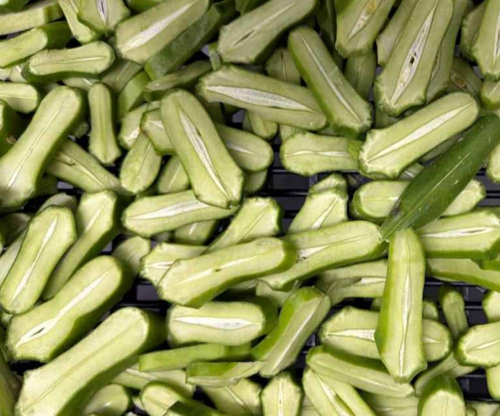 대상웰라이프, 어린도두꼬투리추출물로 첫 기능성원료 식약처 승인 - 뉴스 썸네일 이미지