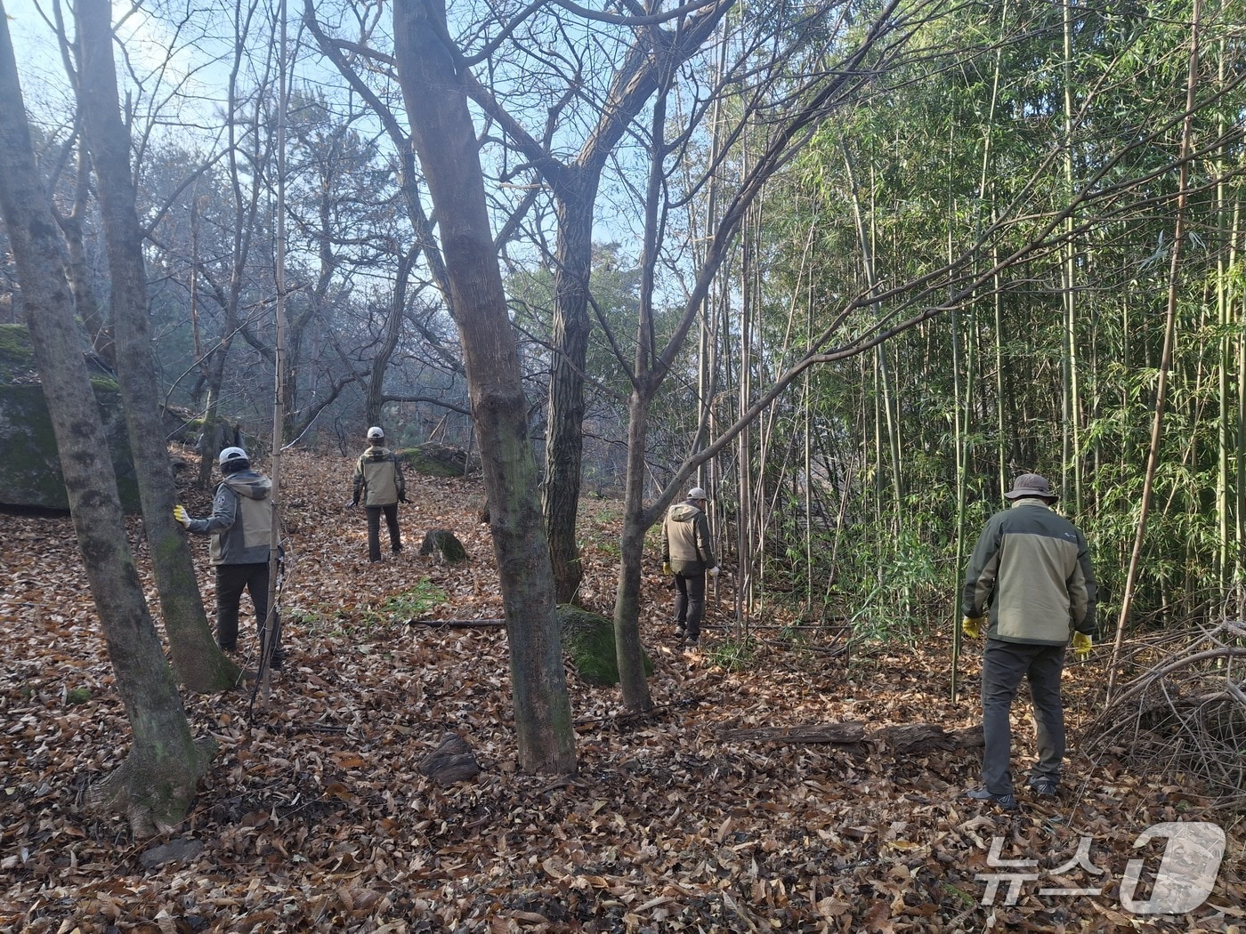 지리산국립공원경남사무소는 지난 17일 지리산에서 불법엽구 수거 작업을 벌이고 있다(경남사무소 제공. 재판매 및 DB금지).