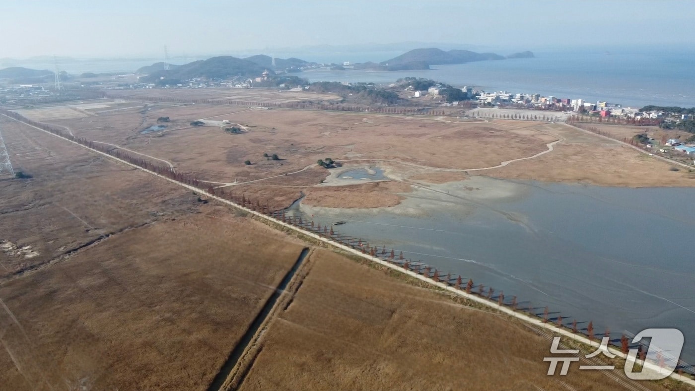 대송단지 간척지.(안산시 제공)