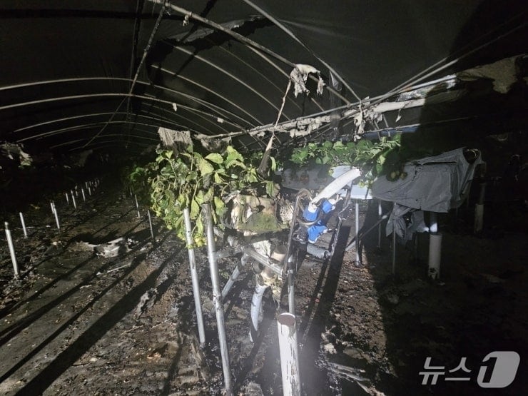 논산 관촉동 딸기 비닐하우스 화재 현장. (논산소방서 제공, 재판매 및 DB금지) / 뉴스1 