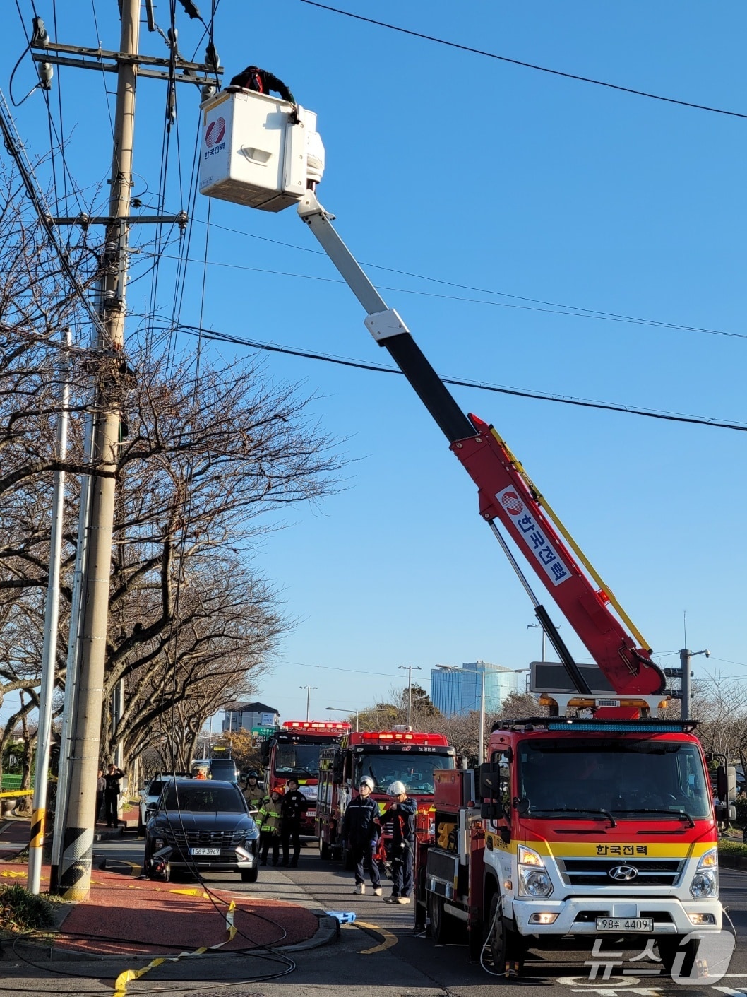 19일 제주시 노형동에서 고압전선이 절단돼 한전이 보수 공사를 하고 있다.(제주도소방안전본부 제공. 재판매 및 DB 금지)