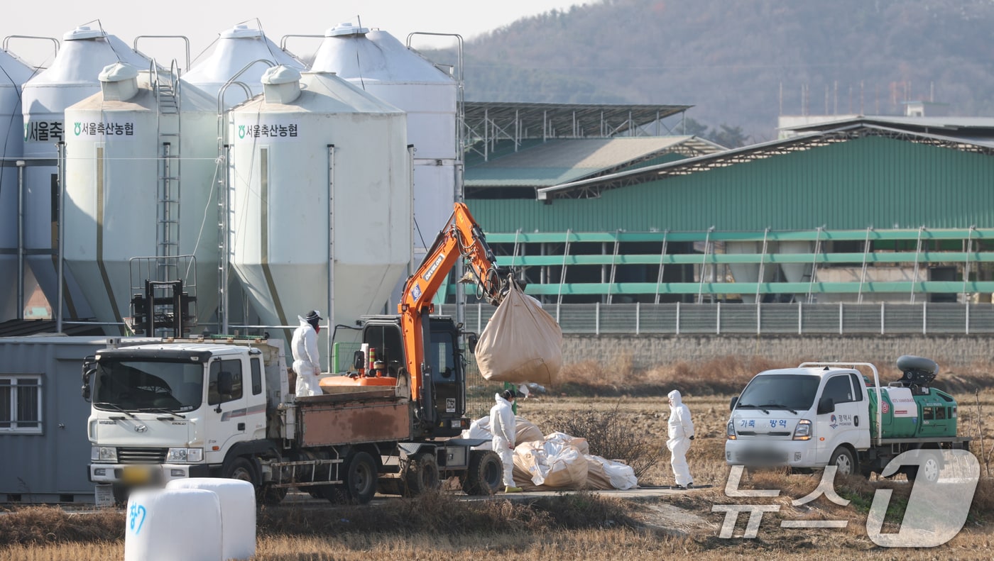 2일 경기 평택시 평택시의 한 산란계 농장에서 H5형 조류인플루엔자 항원이 확인돼 방역당국이 통제 및 방역 작업을 하고 있다. 중앙사고수습본부는 조류인플루엔자 확산 방지를 위해 경기도 전역과 평택시와 인접한 충남 천안·아산시의 산란계 관련 농장, 축산시설, 축산차량 등에 대해 이날 0시부터 24시간 동안 일시 이동중지 명령을 내렸다. 2025.12.2/뉴스1 ⓒ News1 김영운 기자