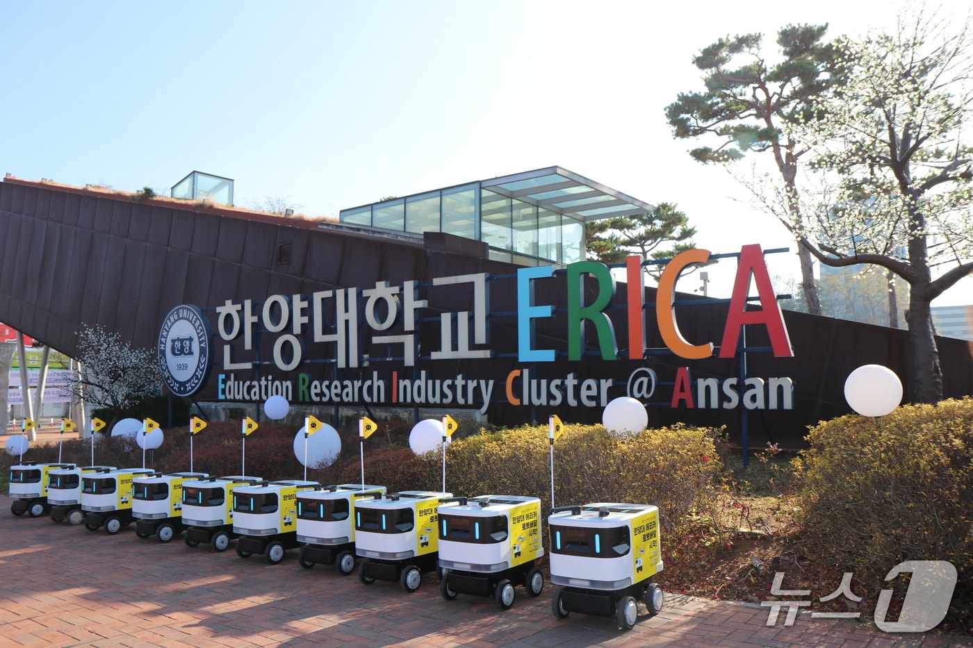 일개미.&#40;안산시 제공&#41;