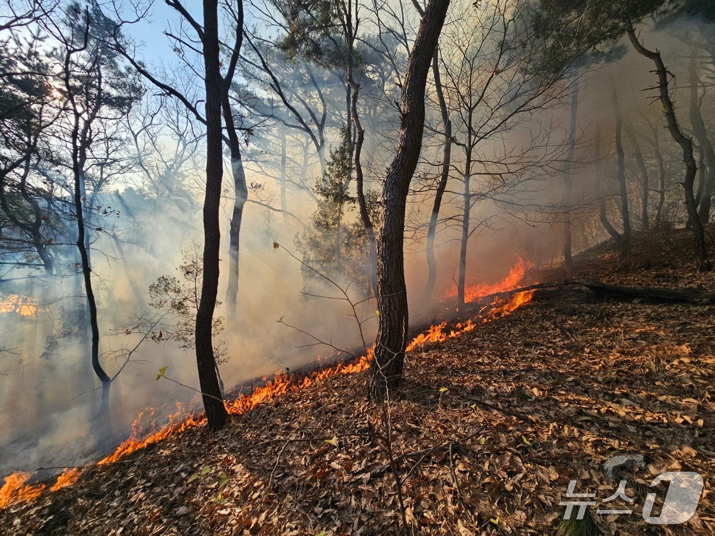 화재현장&#40;인천소방본부 제공/뉴스1&#41;