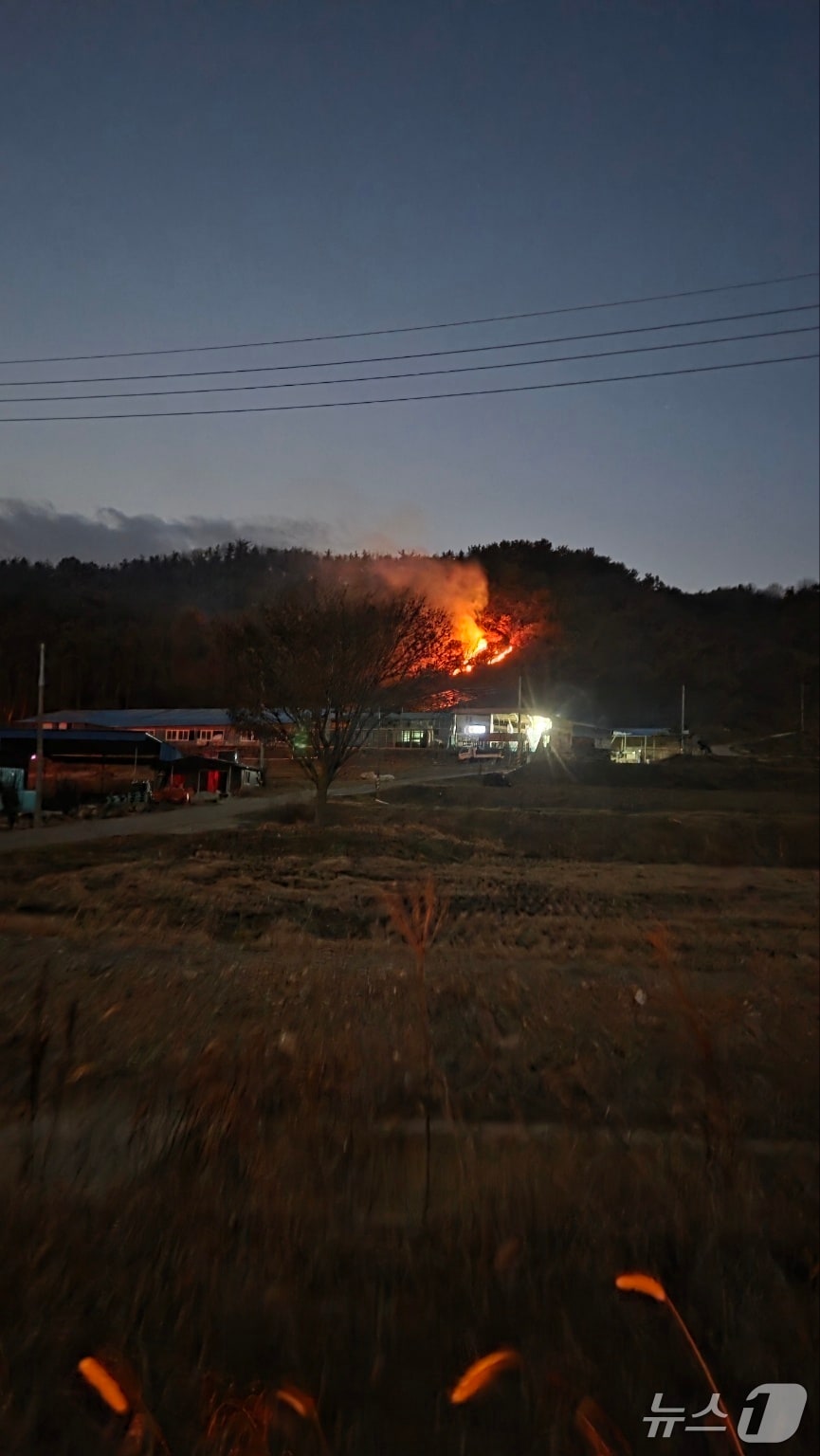  청양 정산면 해남리 산불 현장. &#40;산림청 제공, 재판매 및 DB금지&#41; / 뉴스1