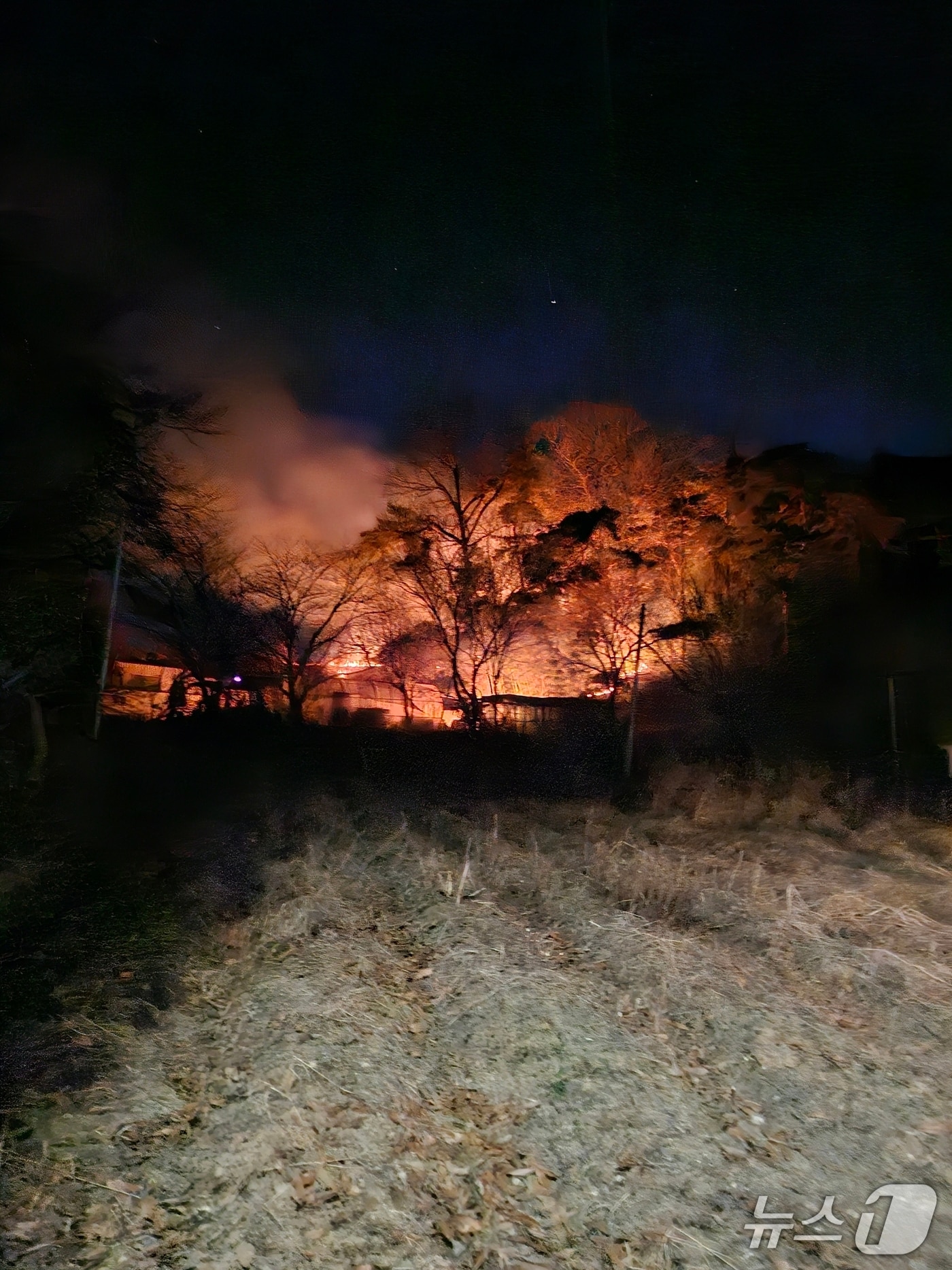 당진시 순성면 백석리 산불 현장. (산림청 제공, 재판매 및 DB금지) / 뉴스1