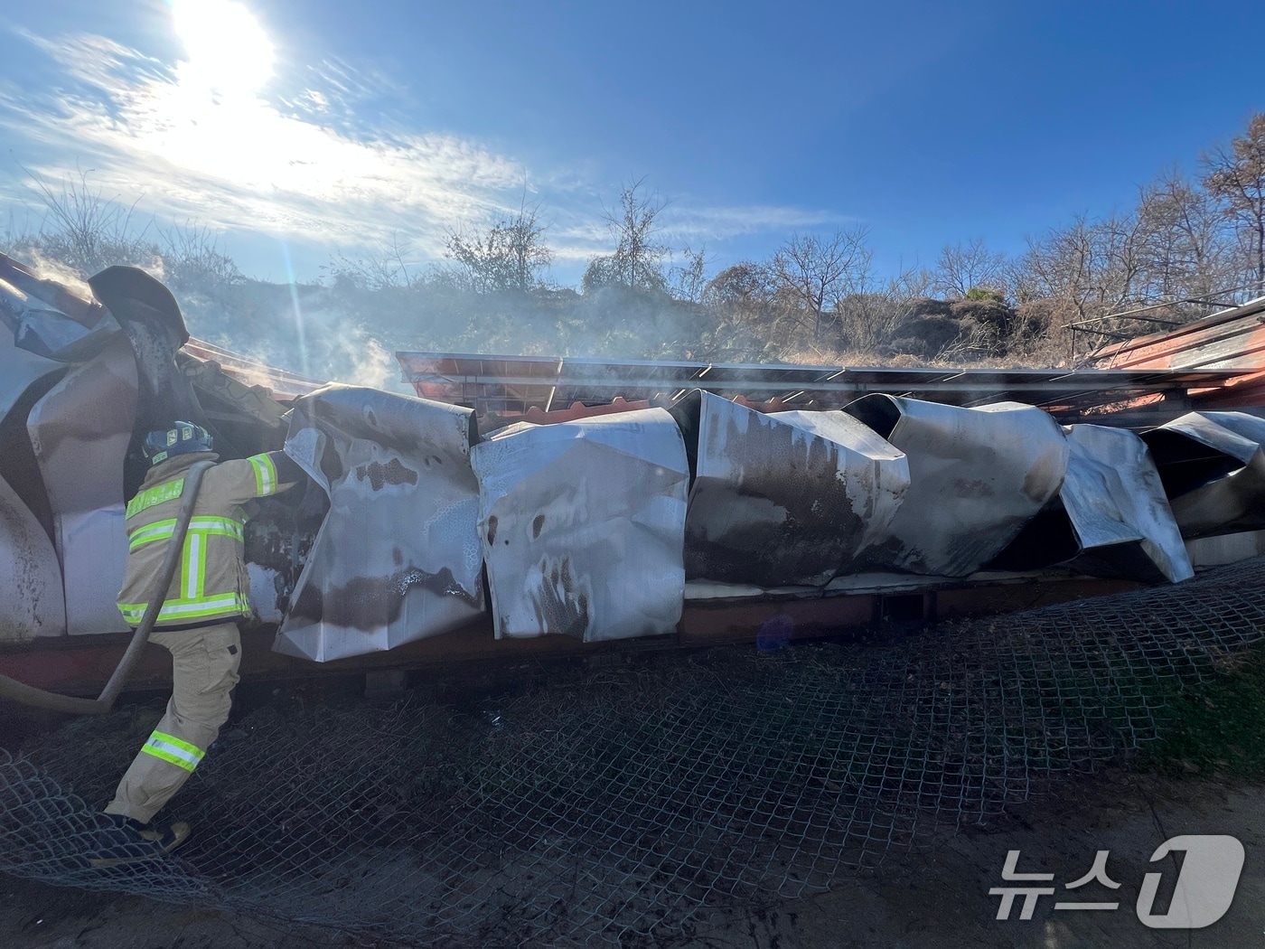 홍성 결성면 돈사 화재 현장. (홍성소방서 제공, 재판매 및 DB금지) / 뉴스1 