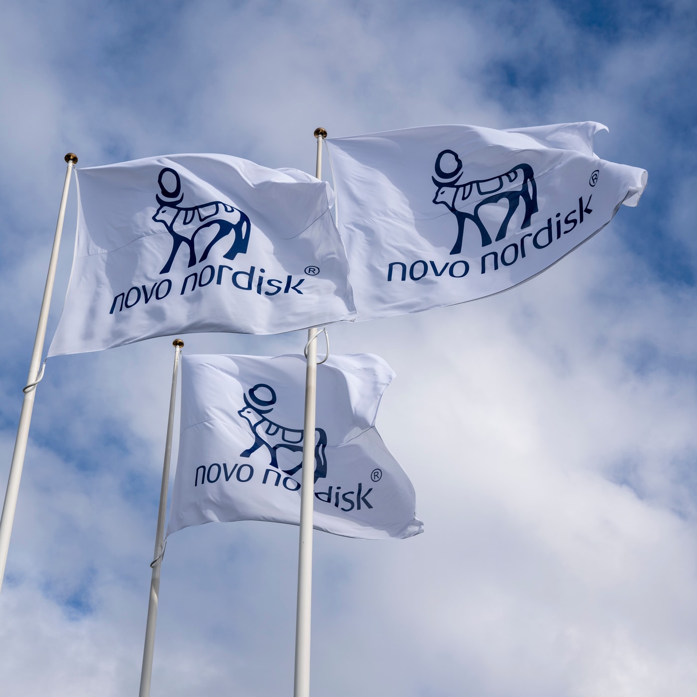 노보 노디스크.