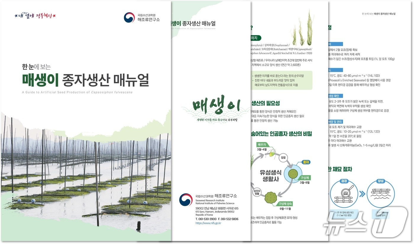 수과원이 발간한 '한눈에 보는 매생이 종자생산 매뉴얼' (수과원 제공. 재판매 및 DB금지)