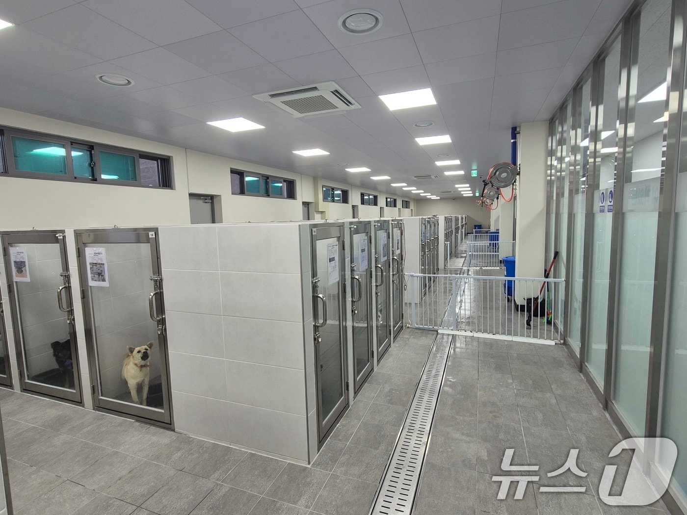 구미시 애니멀케어센터(구미시 제공)/뉴스1 ⓒ News1 정우용 기자