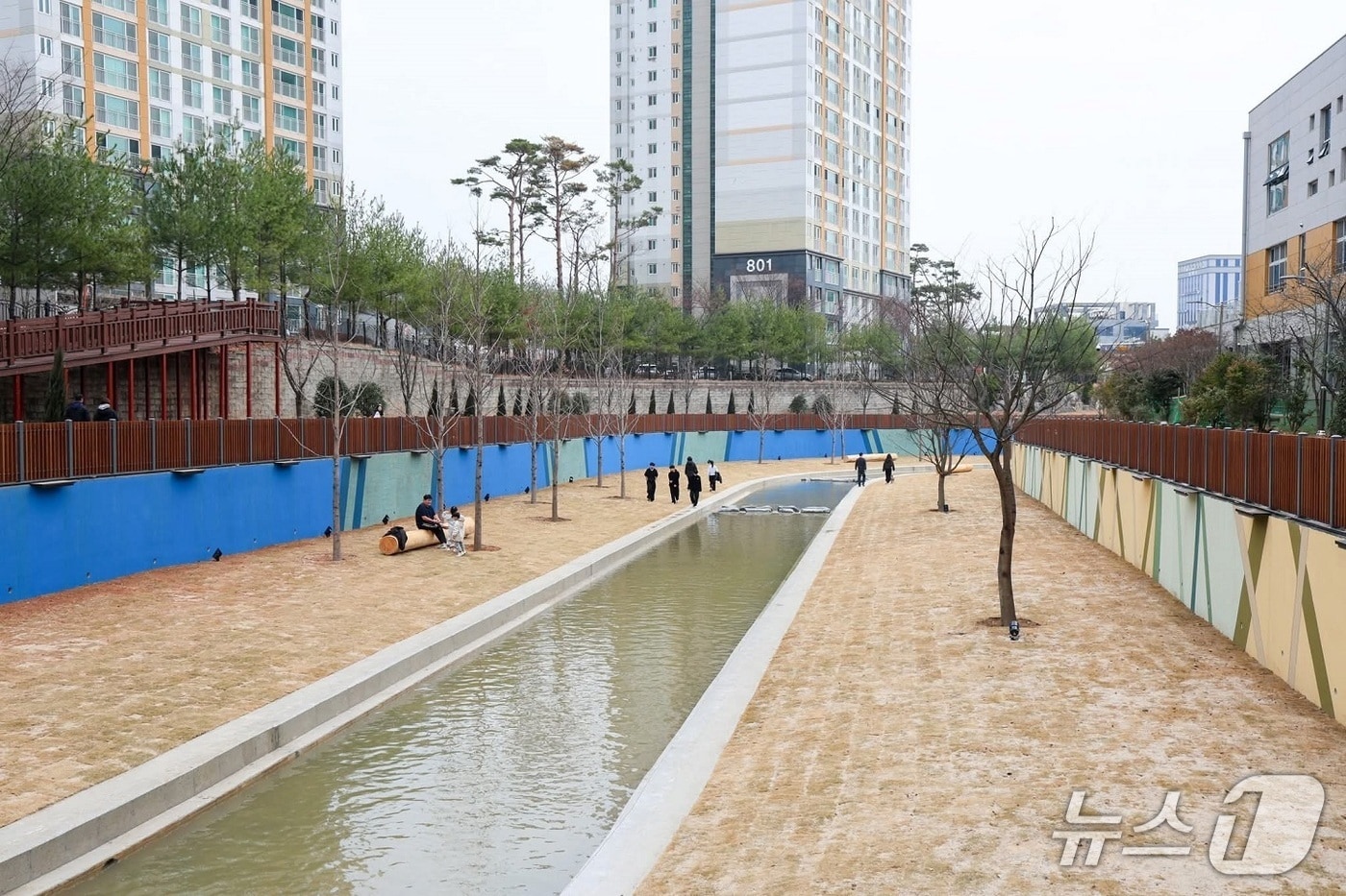 순천 신대천.(순천시 제공. 재판매 및 DB금지)