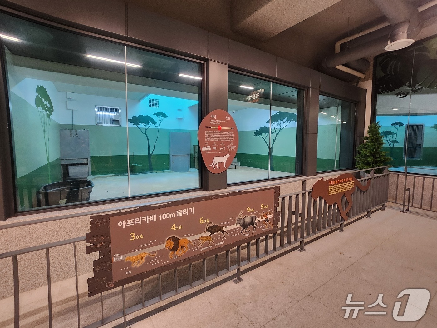 재개관을 준비하는 제3아프리카관 모습