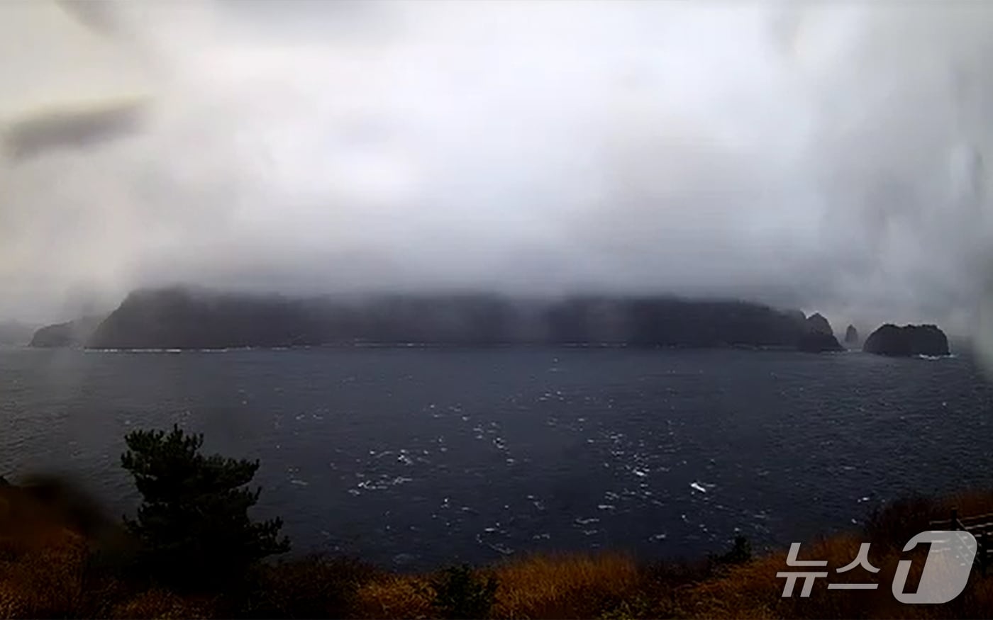 기상청은 25일 오후 5시 20분을 기해 울릉도·독도에 대설경부를 발효했다. 사진은 이날 오후 울릉군 실시간 LIVE(라이브)방송 갈무리. (재판매 및 DB 금지) 2025.12.25/뉴스1