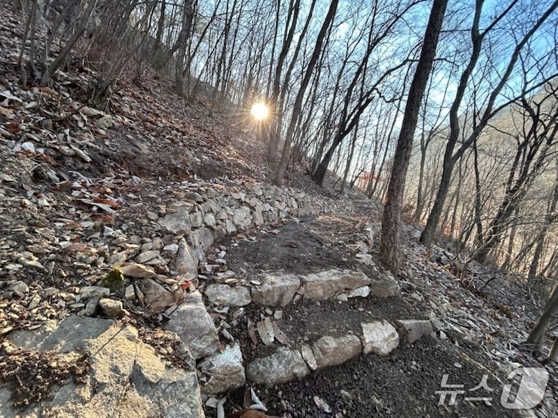 금산산림문화타운 내 대화의 숲길  (금산군 제공.재판매 및 DB금지)/뉴스1