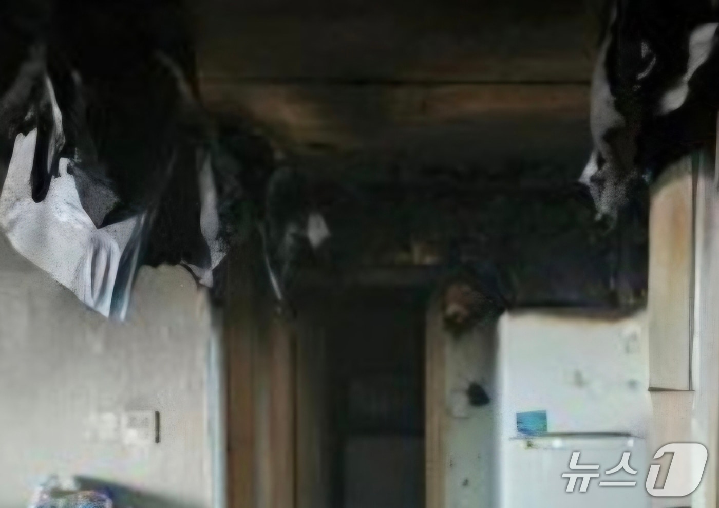 경기 평택시 팽성읍 객사리 다세대주택 화재 현장. (경기도소방재난본부 제공. 재판매 및 DB 금지) 2025.12.26/뉴스1