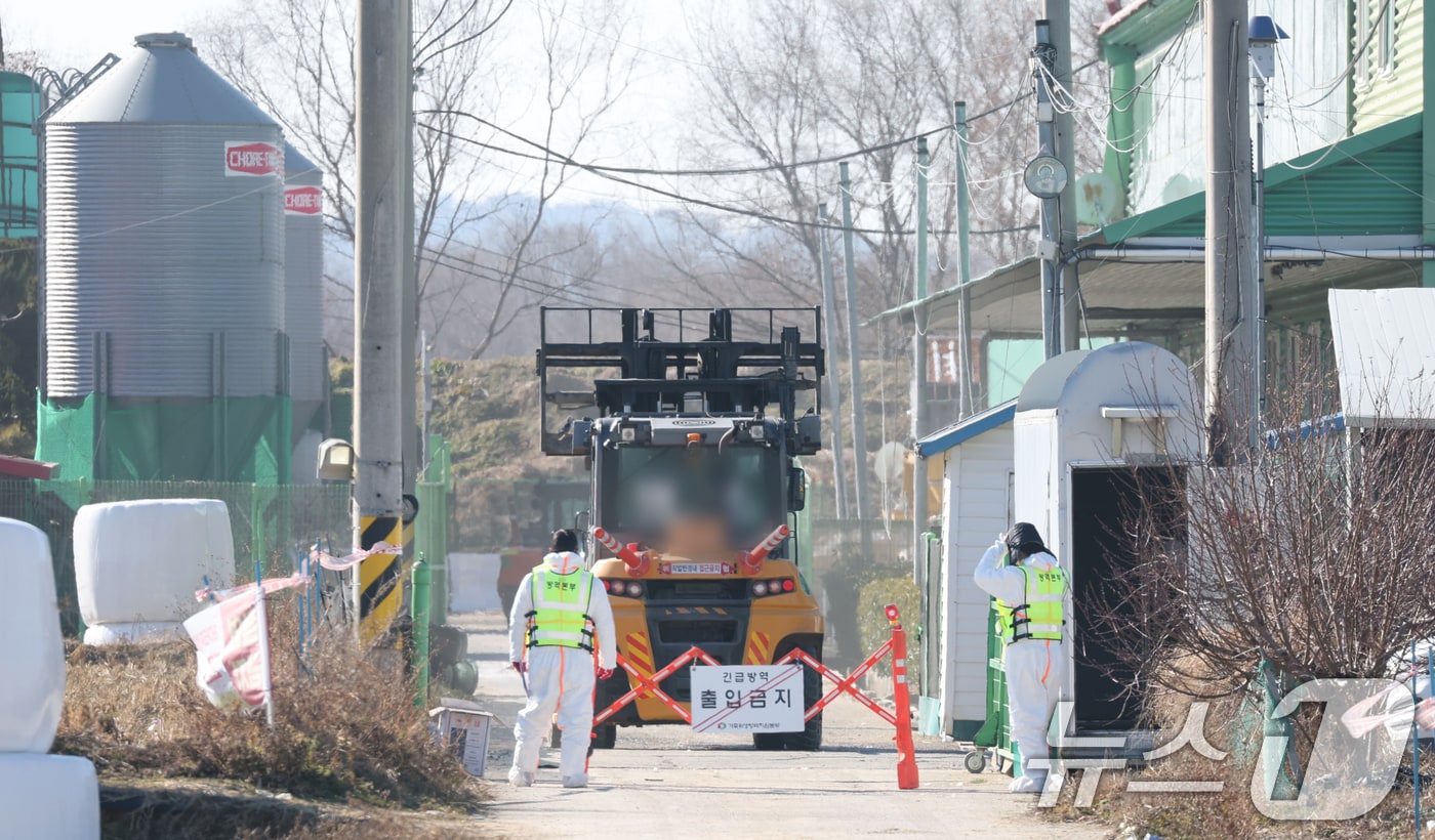 26일 경기 평택시의 한 산란계 농장에서 고병원성 조류인플루엔자(AI)가 발생해 방역당국이 통제 및 방역 작업을 하고 있다. 2025.12.26/뉴스1 ⓒ News1 김영운 기자