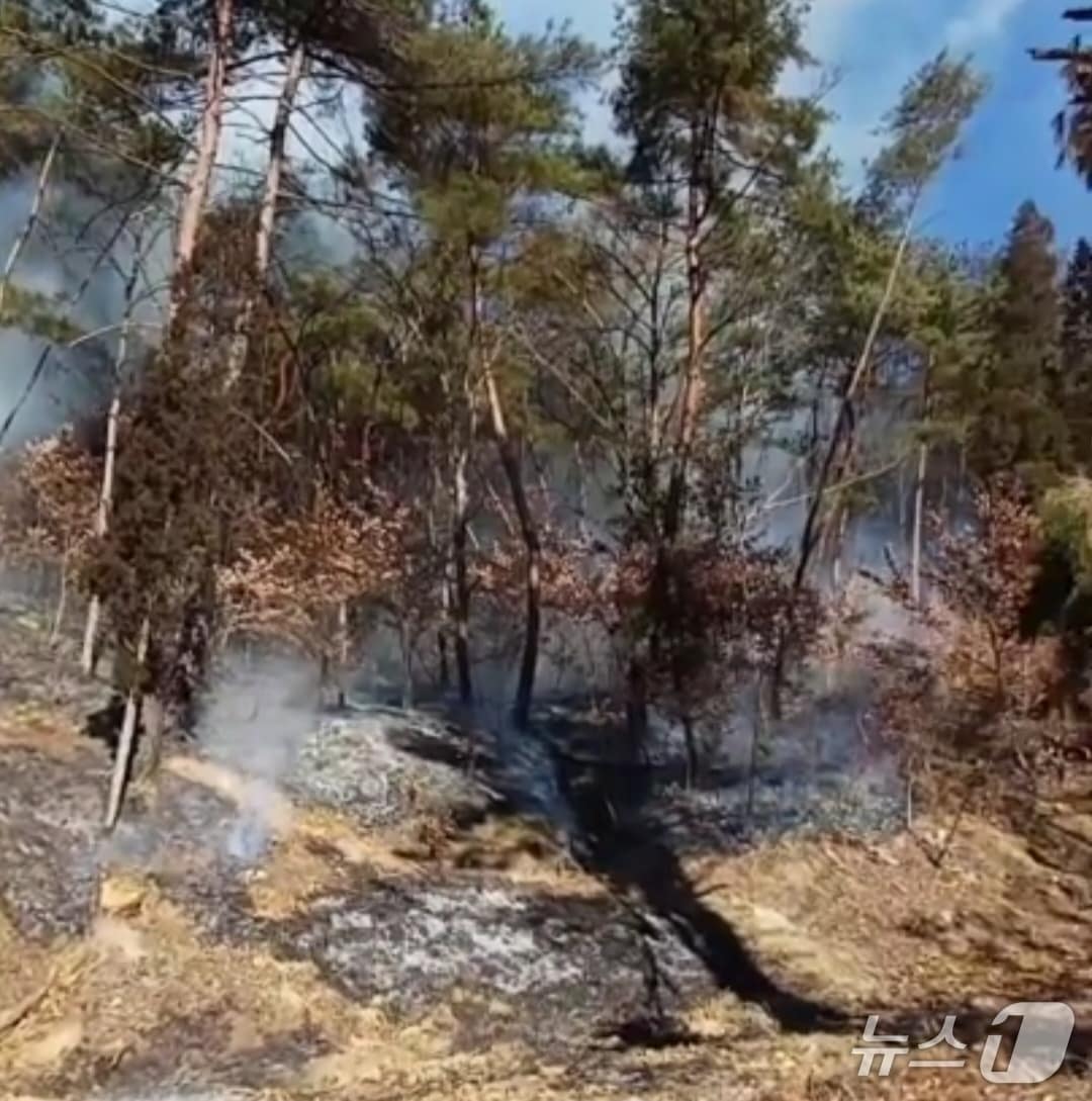 26일 오전 11시11분쯤 대구 군위군 소보면 안락정사 인근의 산 입구에서 난 불이 40여분 만에 진화됐다.(대구소방안전본부 제공. 재판매 및 DB금지)