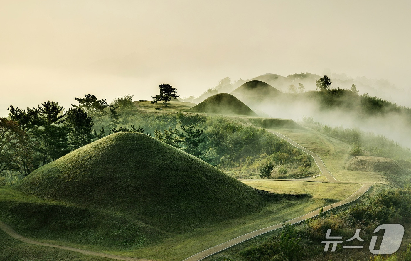 함안 말이산고분군 전경(함안군 제공. 재판매 및 DB금지).