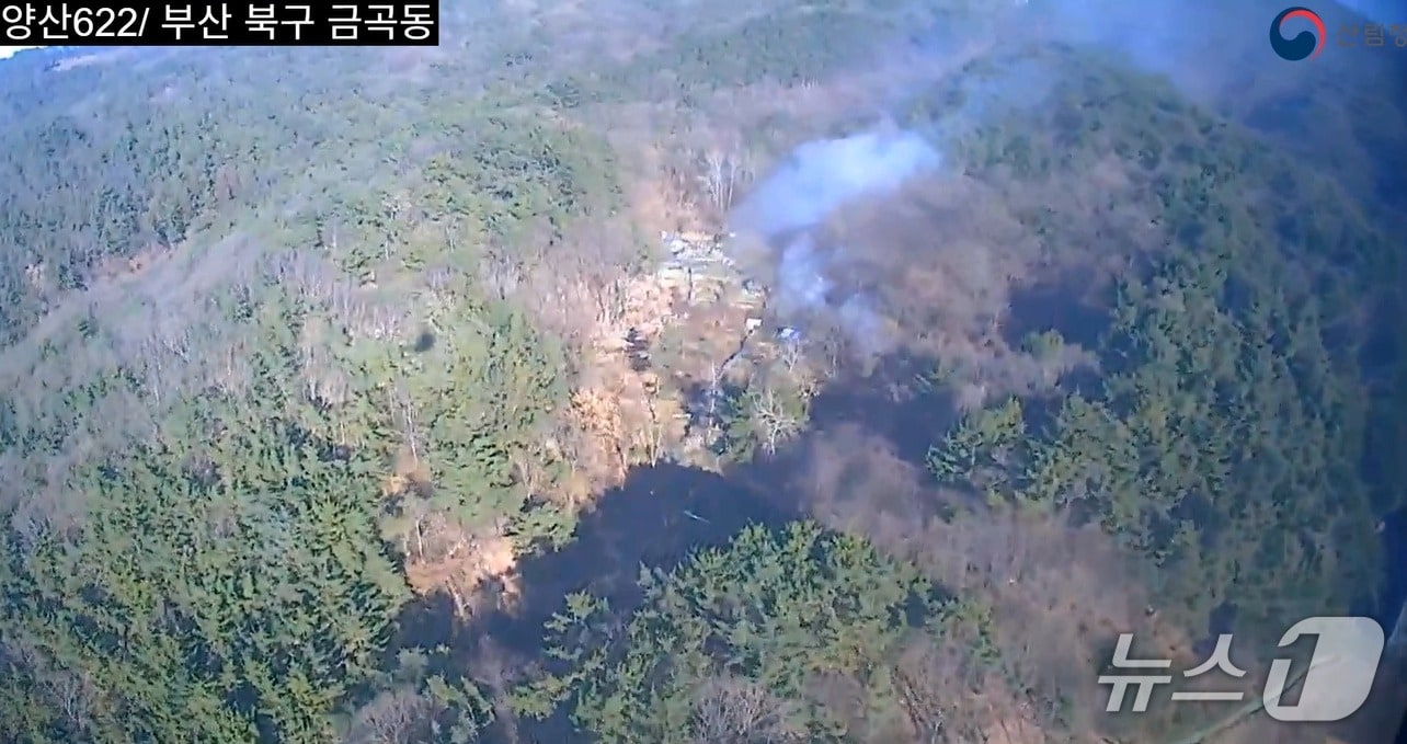 26일 부산 북구 금곡동 산불 화재 현장.(산림청 제공. 재판매 및 DB 금지)